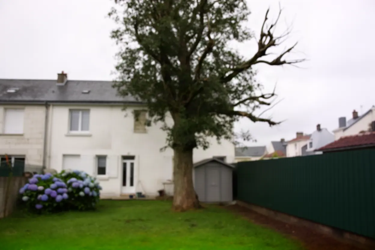 Arbre dangereux avant démontage à Saint-Nazaire