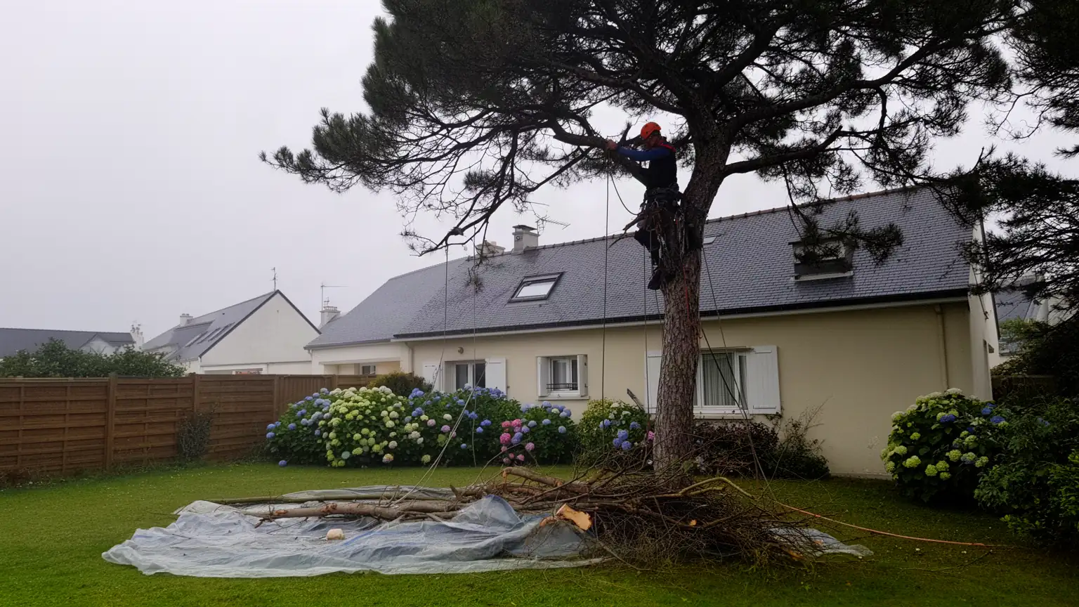 Élagage et abattage d’arbres à Saint-Nazaire