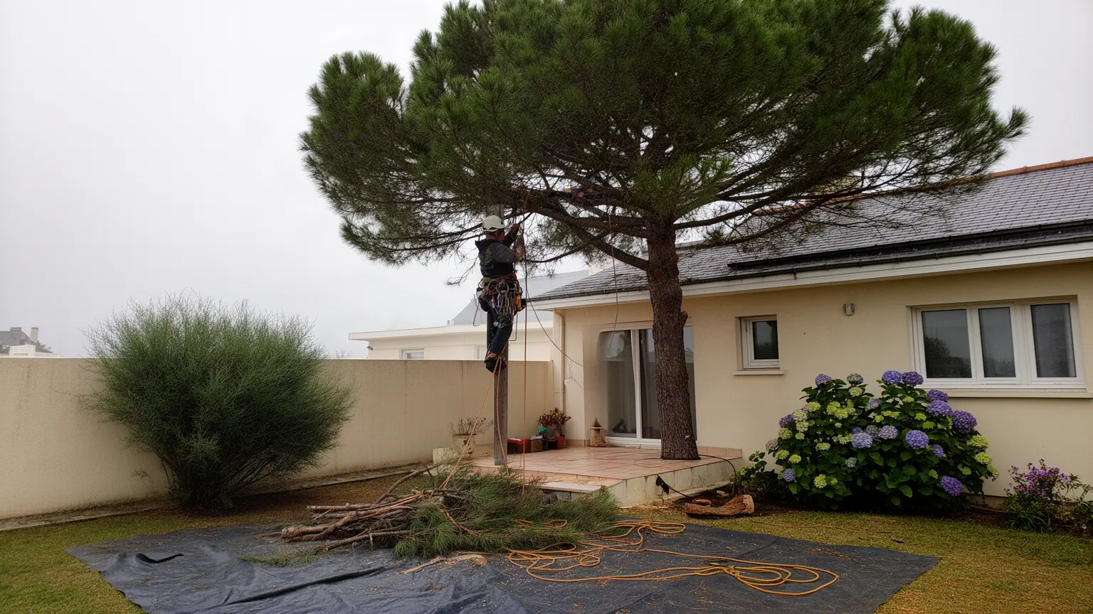 Élagueur professionnel à Pornichet et alentours
