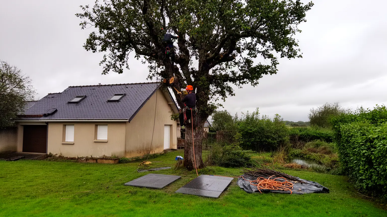 Élagueur professionnel à Trignac et alentours